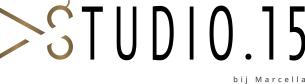 Logo studio 15